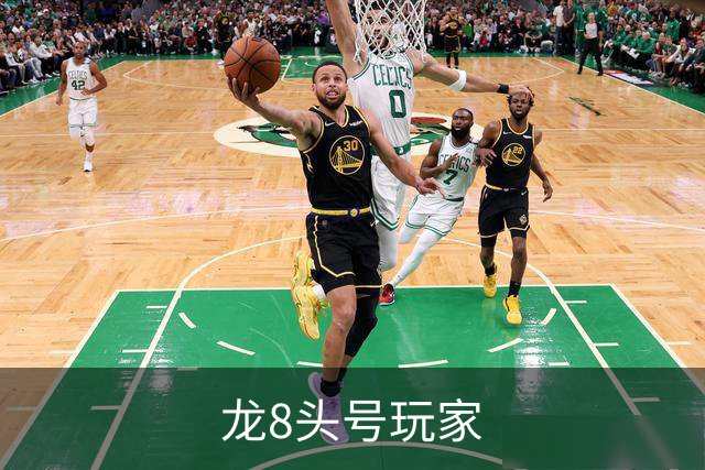 龙8头号玩家企业介绍图